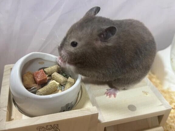 あと2時間後❣️