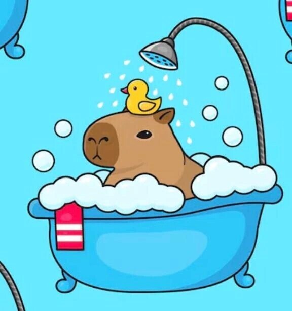 さっぱりんこ🛁