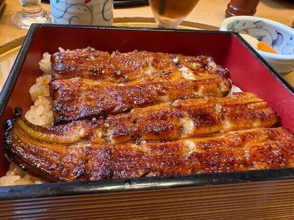 ウナギϵ( 'Θ' )϶