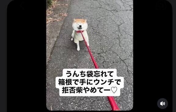 たまに戸惑うw＆お礼日記