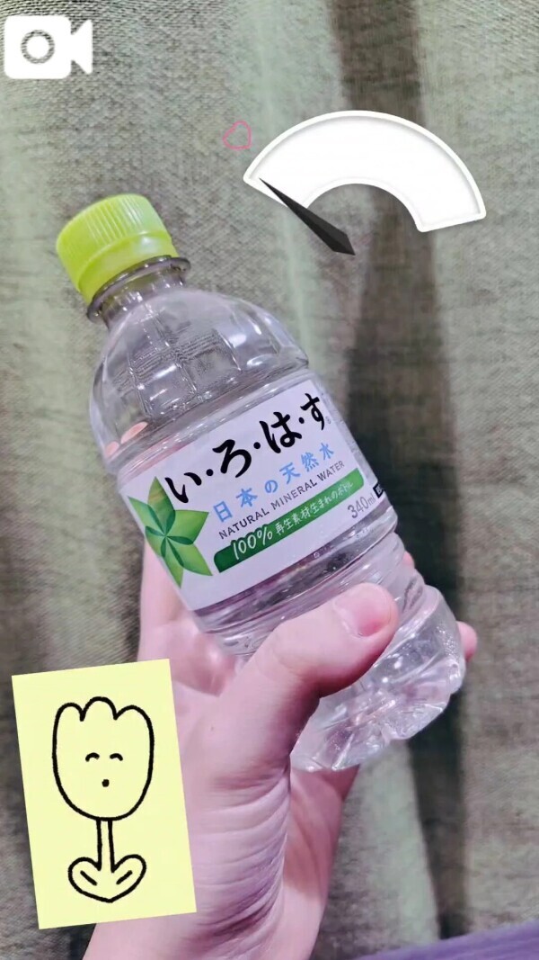 水を得たひなた🐟