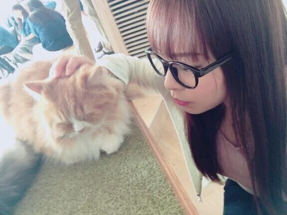 猫好きは猫カフェにも行きます🐱🫶🏻