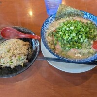 ひまわり