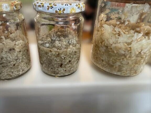 麹の仕込み