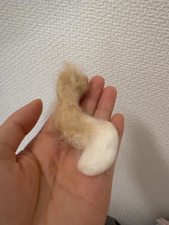 まさかの大収穫！？