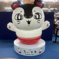ひより