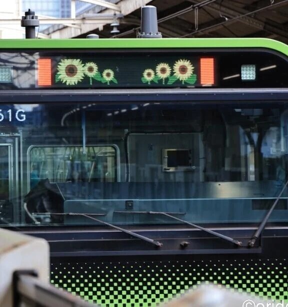 真夏?😲