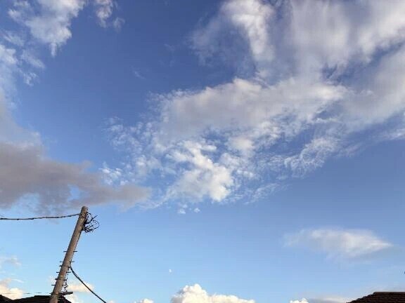 やっと晴れた☀️