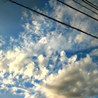 うた