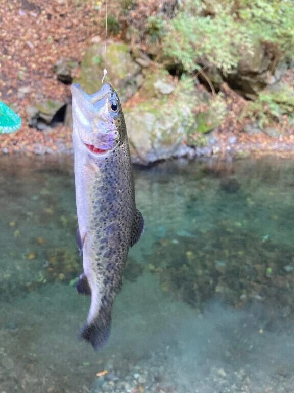 とったぞ〜🐟