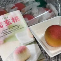 しおん