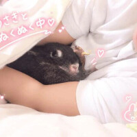 もも