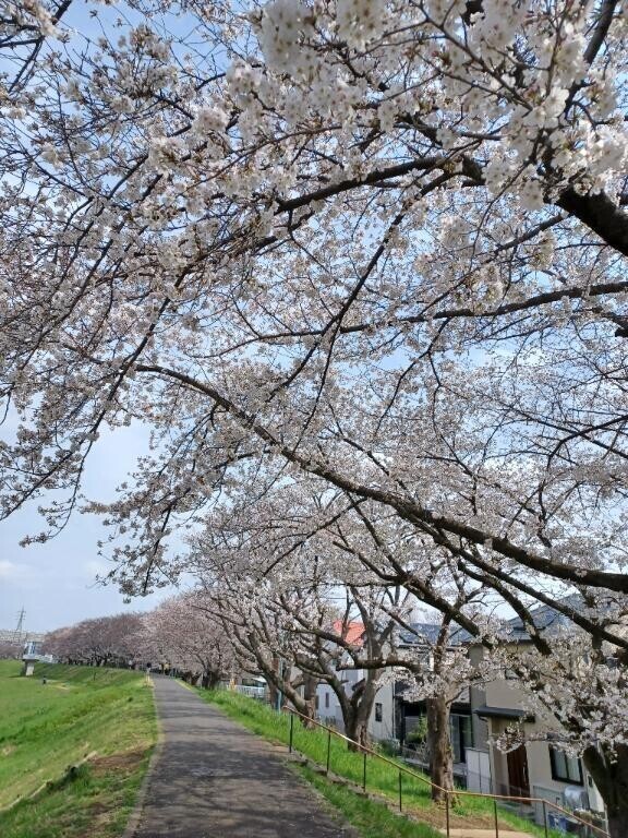 きょう寒すぎ～
