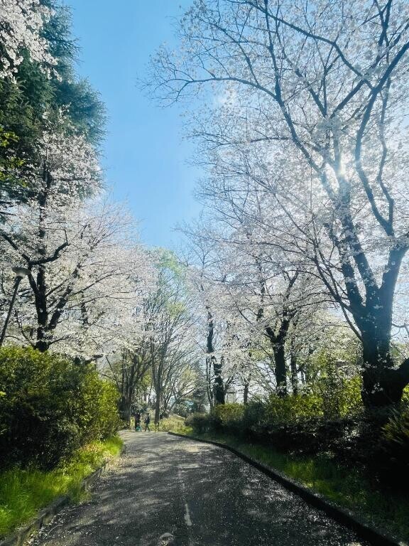 今年初♡♡
