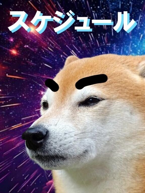 予定〜🐼