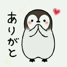 お礼日記🫶🏻💌