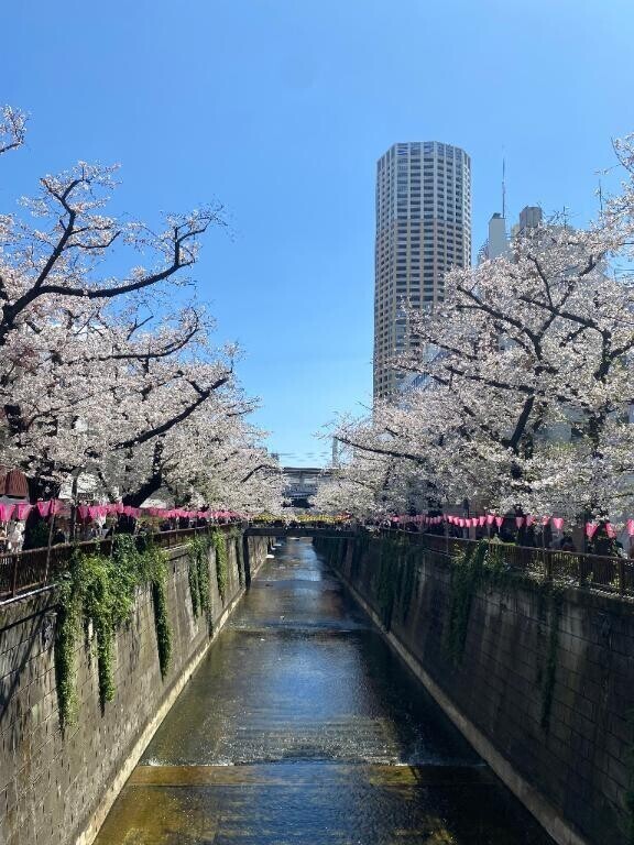 春は大胆になりがち？🫢❤️
