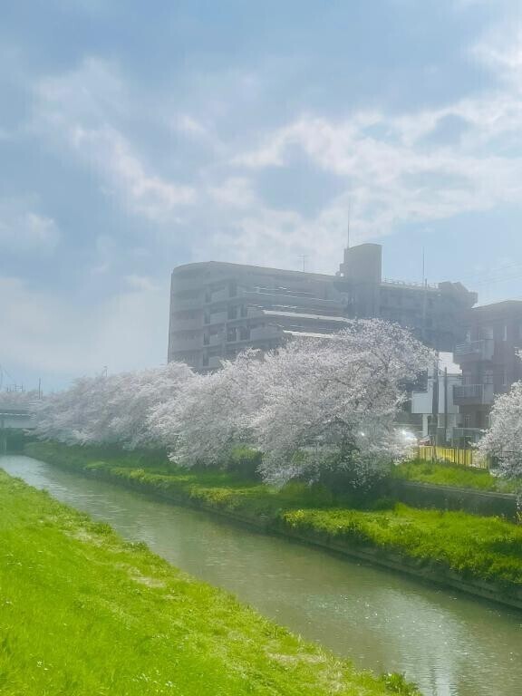 お礼日記💌💌