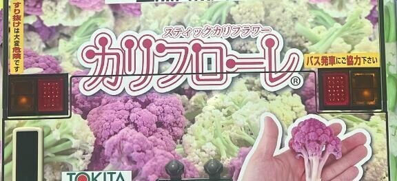 ビジュが、無理