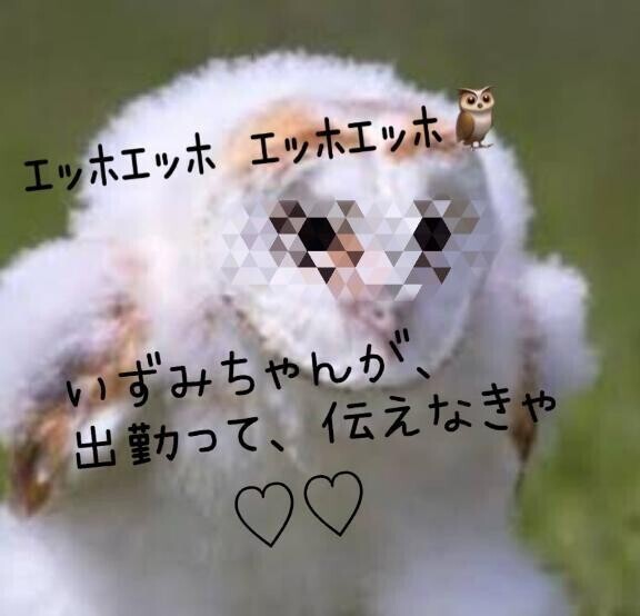 ｴｯﾎｴｯﾎ　　εε＝🦉　　ｴｯﾎｴｯﾎ