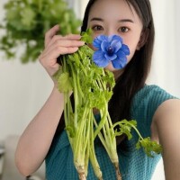 ひなの