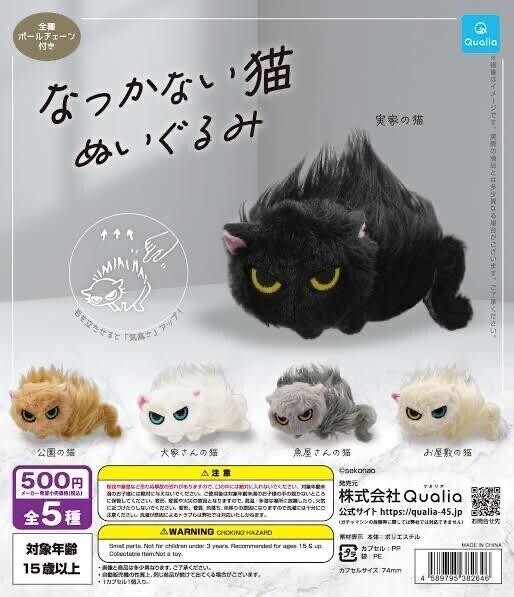 なつかない猫