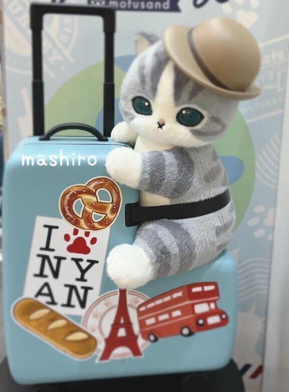 楽しみに向かいます👒