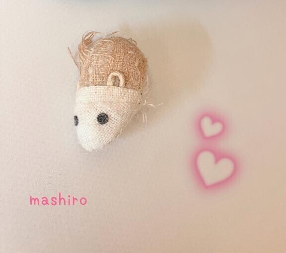愛おしい🐈