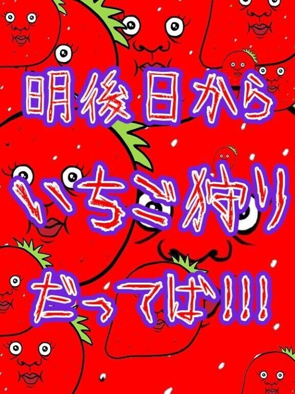 今週は明日だけっ🍭