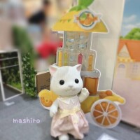 ましろ