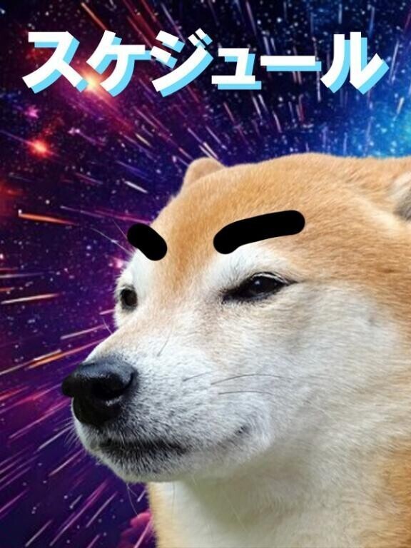 後半の予定🌞