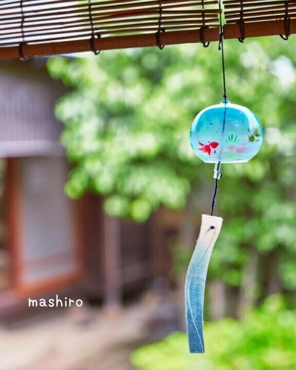 お知らせ🐬