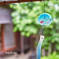 ましろ