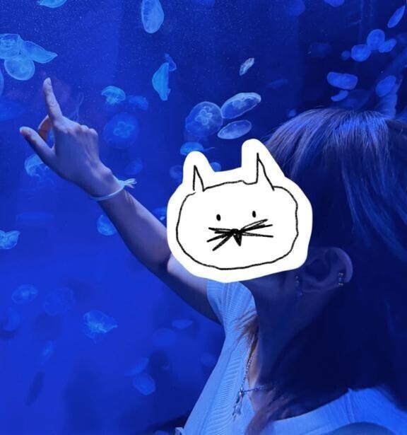 海月いいですよね🪼