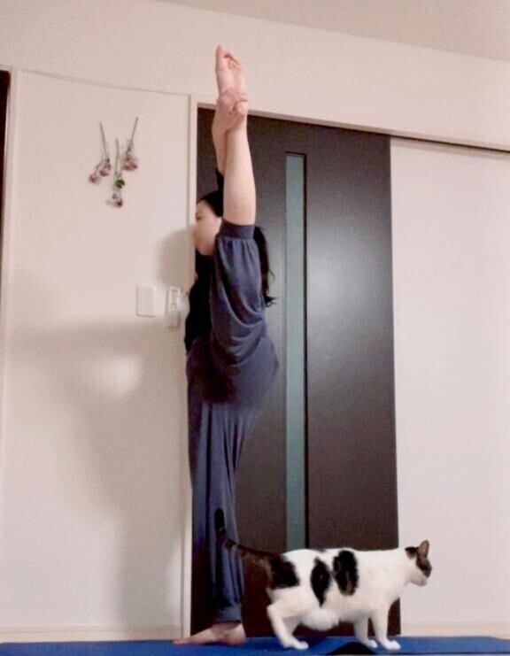 自由な夜🌙