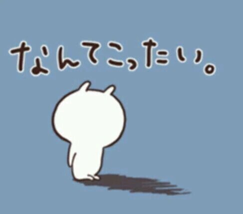 聞かれたので、、、