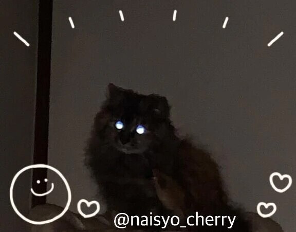 甘えたさん💓