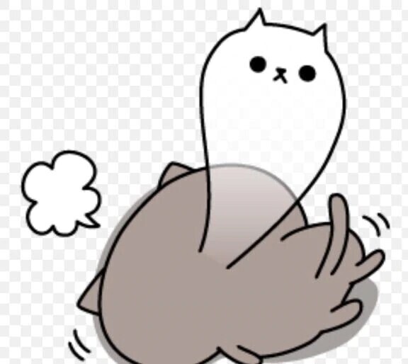 なんなんでしょう？😇