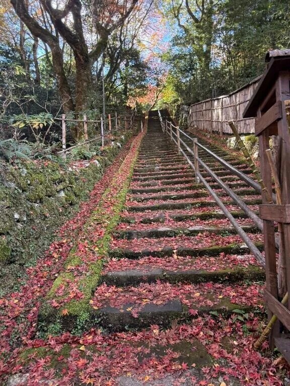 そろそろこうなるかなあ