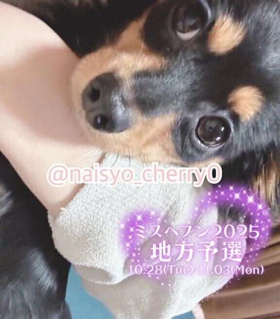 今後のおかずにしてね💞