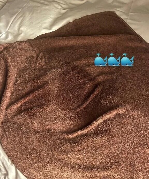 本指名Kさま🐳