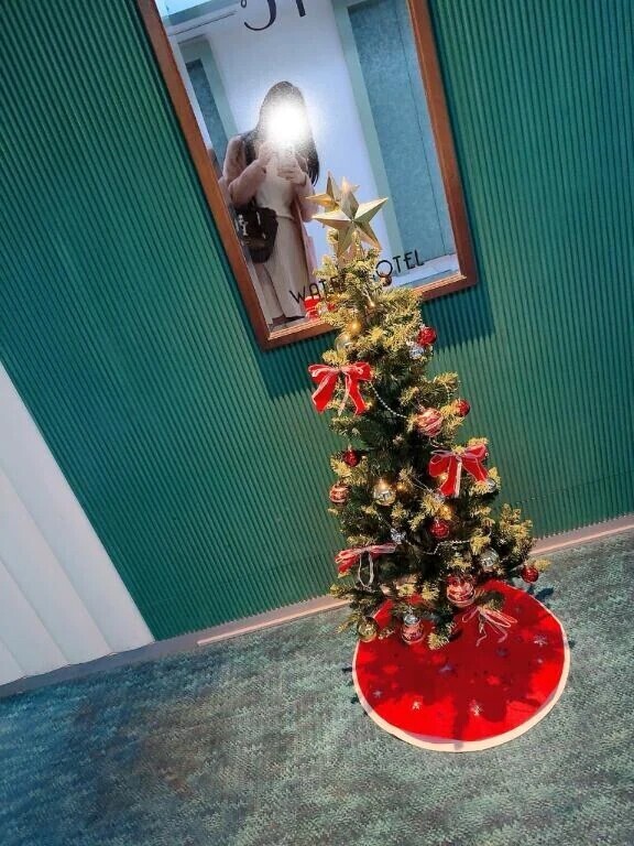 かわいいツリー🎄