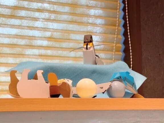 うれしいできごと♥️