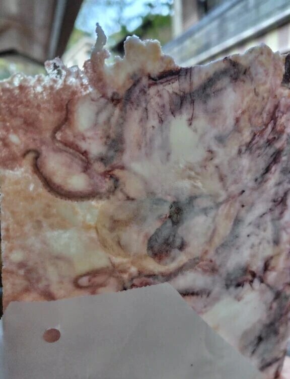 あの有名フレーズを体現した日。