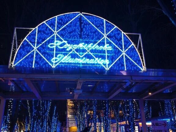 イルミネーション✨