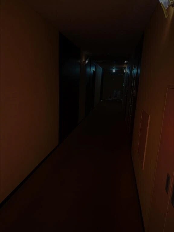 ホラーか何か？🙂