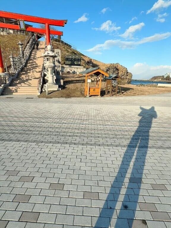 今年も始まった👀❤️‍🔥