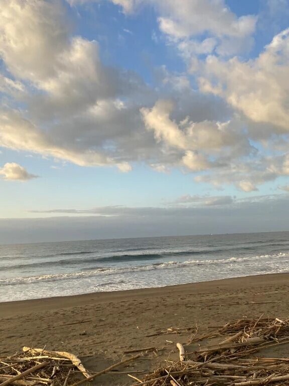 癒しの存在になれたら🥰