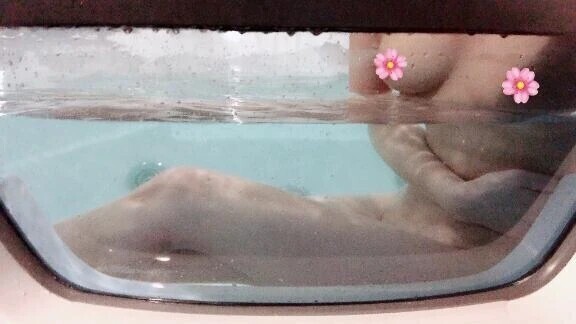 今日も今日とて(*^^*)