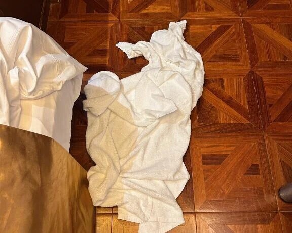 完売しました🙇‍♀️